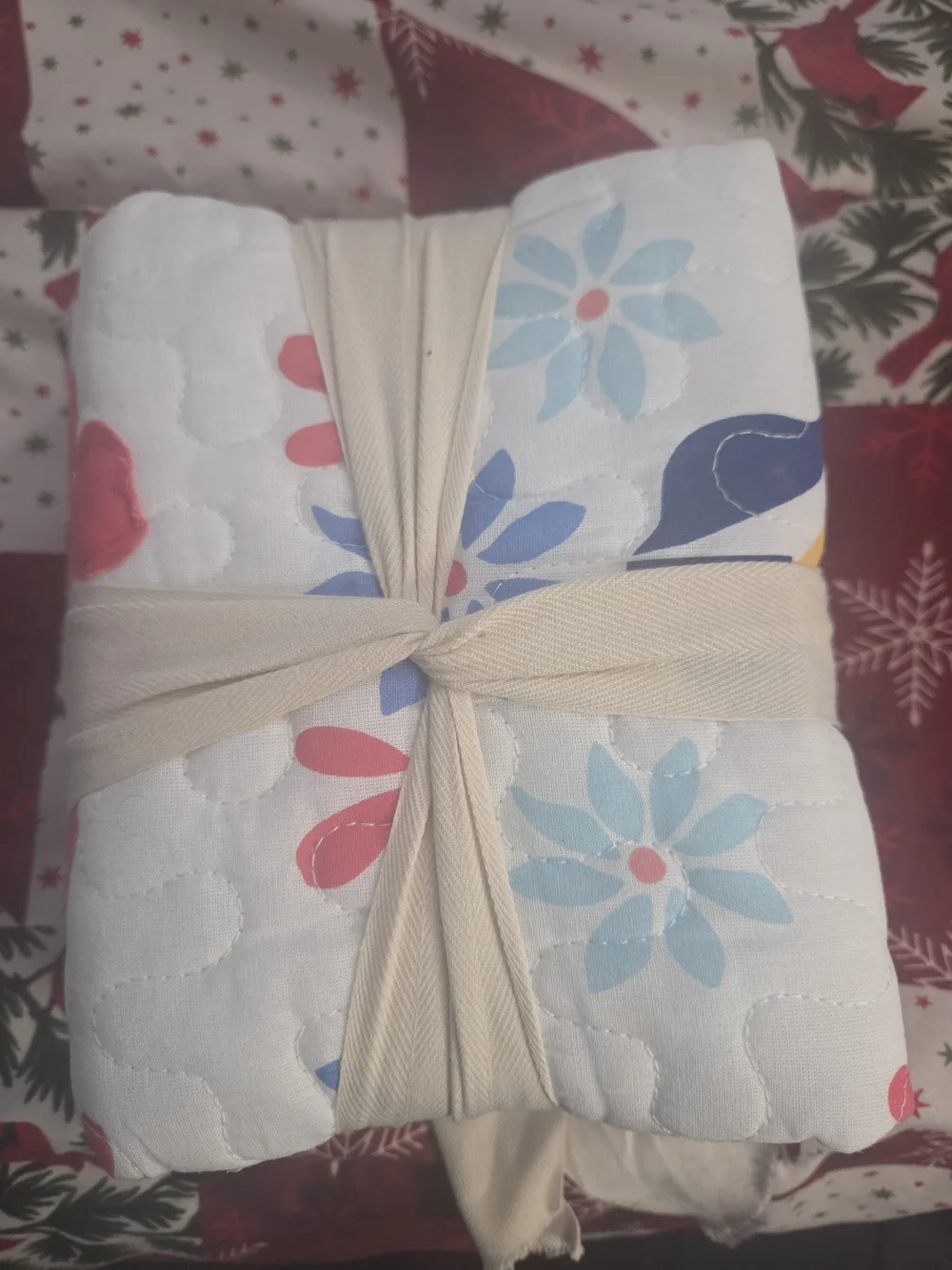 The Pioneer Woman White Sham Set with Blue and Pink Floral Accents